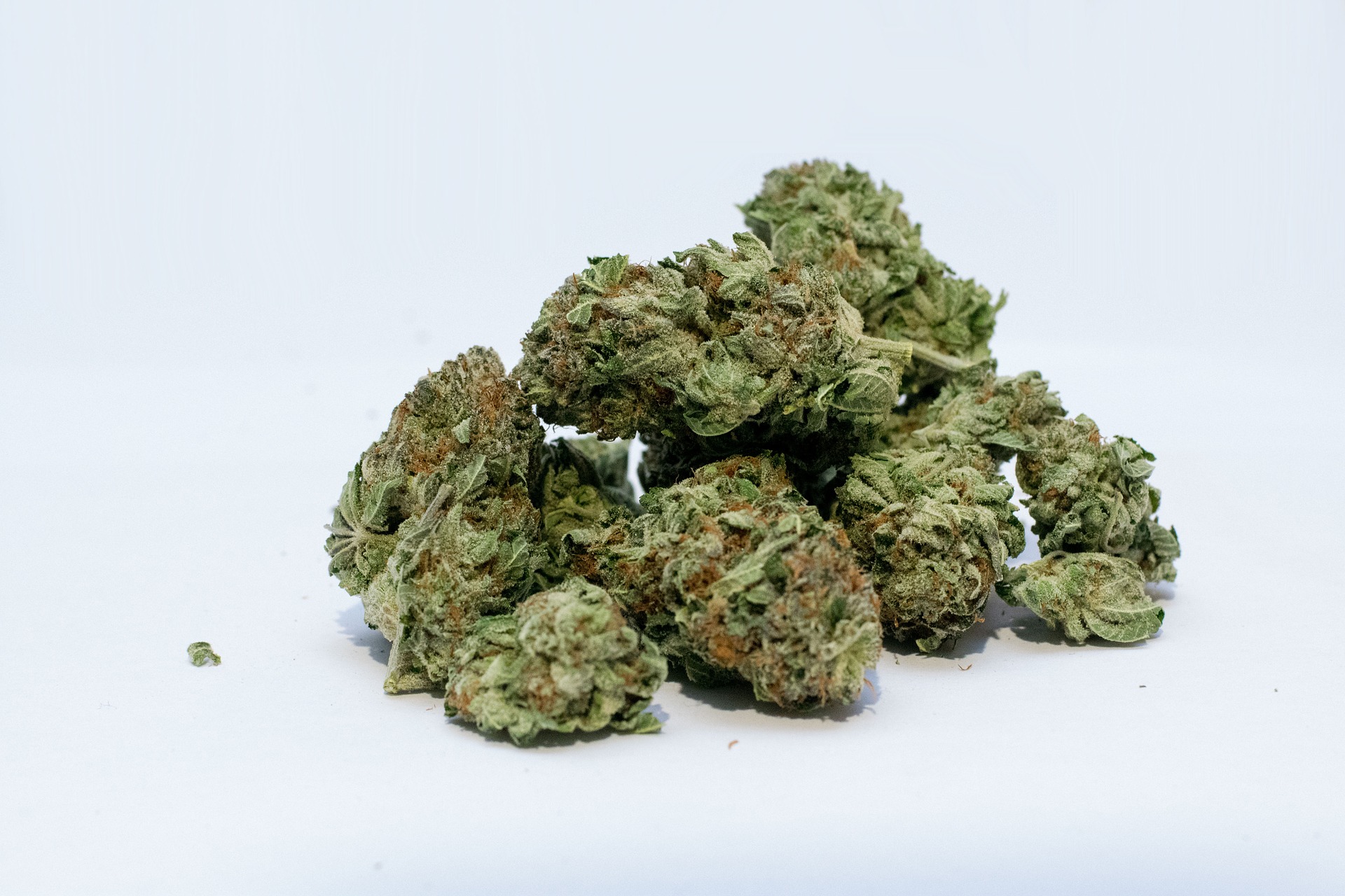 Brian Berry Citrus Blend Marijuana Strain